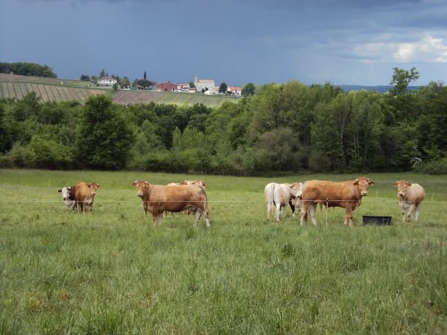 La ferme Couderc & associés